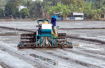 Nâng cao hiệu quả sử dụng phân bón trong sản xuất lúa