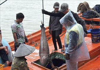 Dak Lak province intensifies fight against IUU fishing