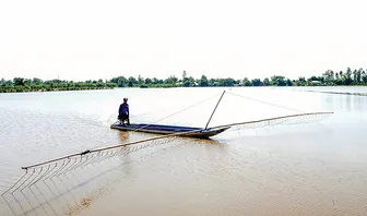 Vài phác thảo về văn hóa sông nước Cần Thơ qua chuyện đánh bắt tôm cá