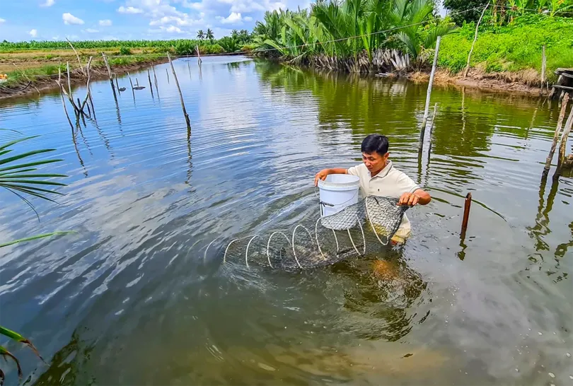 Cà Mau tổ chức Lễ hội tôm lần thứ II