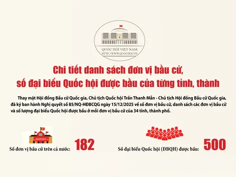 [Infographics] Chi tiết danh sách đơn vị bầu cử, số đại biểu Quốc hội được bầu của từng tỉnh, thành