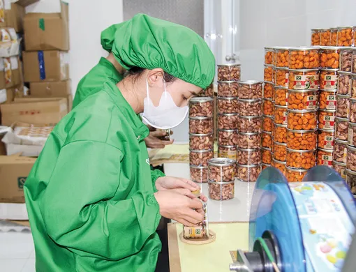 Khối lượng xử lý đơn sở hữu công nghiệp tăng mạnh