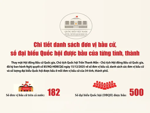 [Infographics] Chi tiết danh sách đơn vị bầu cử, số đại biểu Quốc hội được bầu của từng tỉnh, thành