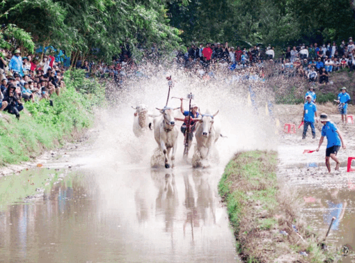 ខេត្ត​អាង​យ៉ាង​ យក​ចិត្ត​ទុក​ដាក់​អភិ​រក្ស​និង​ពង្រីក​តម្លៃ​វប្ប​ធម៌​ប្រពៃណី​ជន​រួម​ជាតិ​ខ្មែរ​