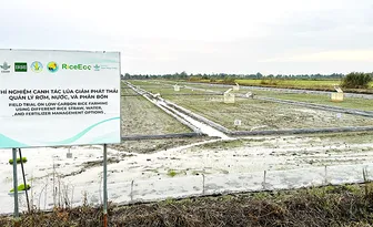 Phát huy vai trò “kiềng 3 chân” trong chuỗi giá trị sản xuất nông nghiệp