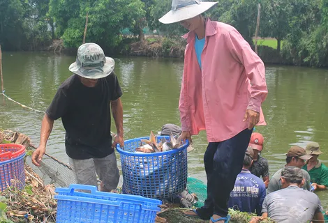 Phấn đấu tổng sản lượng thủy sản cả năm 2026 đạt 10 triệu tấn