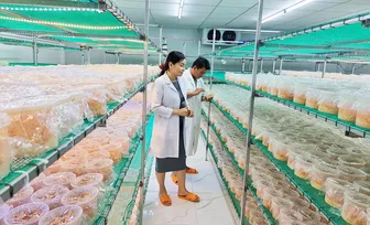 Cả nước có gần 2.500 HTX nông nghiệp ứng dụng công nghệ cao và chuyển đổi số