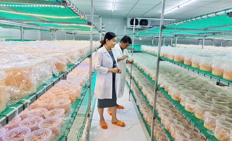 Cả nước có gần 2.500 HTX nông nghiệp ứng dụng công nghệ cao và chuyển đổi số