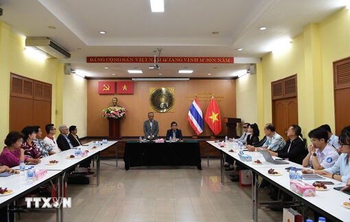 Overseas Vietnamese expertise tapped for national development