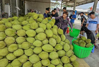 Kỷ lục xuất khẩu và khẳng định vị thế trụ đỡ của nền kinh tế