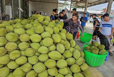Kỷ lục xuất khẩu và khẳng định vị thế trụ đỡ của nền kinh tế