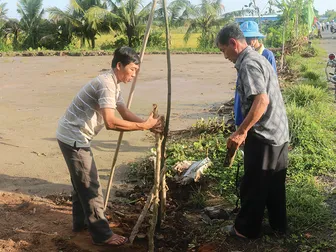 Tăng cường công tác quản lý, bảo vệ và phát triển rừng