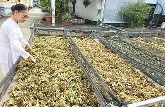 Cùng góp sức giúp đời