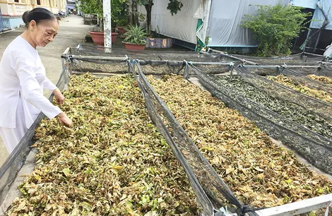 Cùng góp sức giúp đời