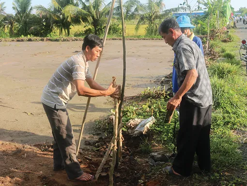 Tăng cường công tác quản lý, bảo vệ và phát triển rừng