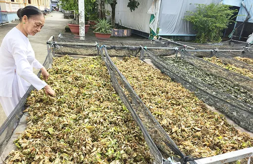 Cùng góp sức giúp đời