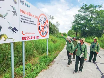 Cho rừng thêm xanh