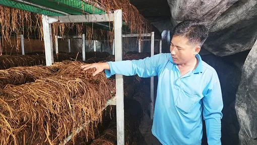 Kinh tế tuần hoàn hướng đến phát triển nông nghiệp xanh