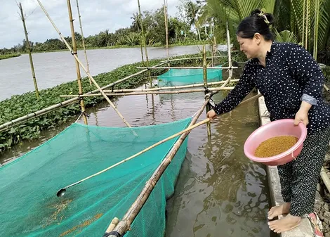Đồng hành cùng phụ nữ và trẻ em hoàn cảnh khó khăn