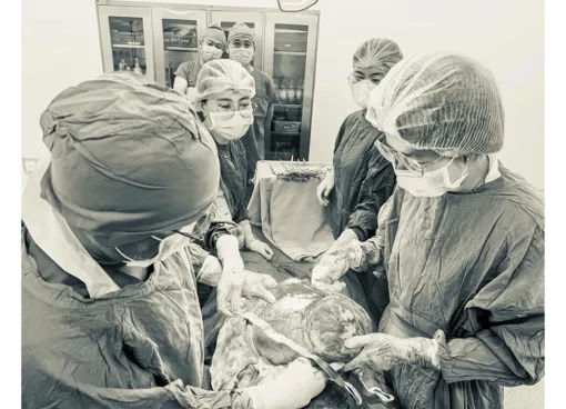 Bác sĩ sản khoa Cần Thơ mổ thành công 2 ca u xơ tử cung lấn hết ổ bụng