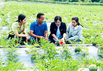 ប្រ​សិទ្ធ​ភាព​នៃ​ទម្រង់​ផលិត​សរី​រាង្គ​