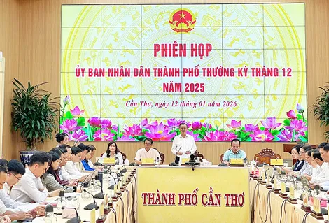 Triển khai thực hiện nghiêm túc quyết định giao chỉ tiêu theo Kế hoạch phát triển kinh tế - xã hội TP Cần Thơ năm 2026
