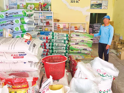 Giá phân bón ở mức cao, nông dân trồng lúa giảm lợi nhuận