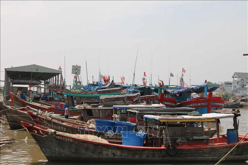 IUU combat: Vinh Long tightens fishing port control