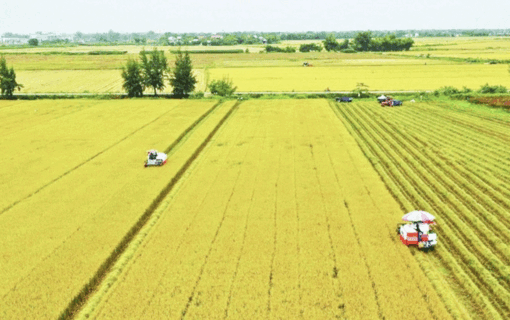 ចាប់​ពី​ថ្ងៃ​ទី​១ ខែ​មក​រា​ ឆ្នាំ​២០២៦ នឹង​រួច​ពន្ធ​ប្រើ​ប្រាស់​ដី​កសិកម្ម​ រហូត​ដល់​ចុង​ឆ្នាំ​ ២០៣០ សម្រាប់​ករណី​ជា​ច្រើន​