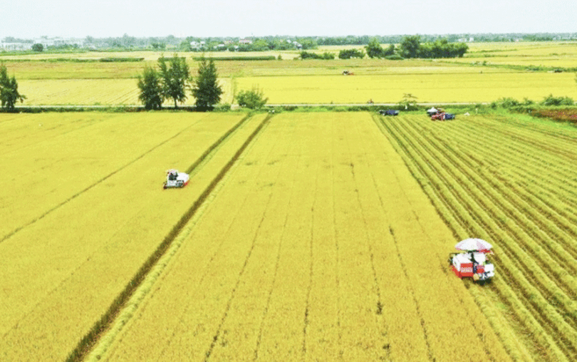 ចាប់​ពី​ថ្ងៃ​ទី​១ ខែ​មក​រា​ ឆ្នាំ​២០២៦ នឹង​រួច​ពន្ធ​ប្រើ​ប្រាស់​ដី​កសិកម្ម​ រហូត​ដល់​ចុង​ឆ្នាំ​ ២០៣០ សម្រាប់​ករណី​ជា​ច្រើន​