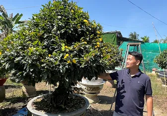 Thạc sĩ Luật kinh doanh mai vàng