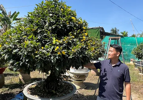 Thạc sĩ Luật kinh doanh mai vàng