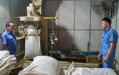 Tăng “sức đề kháng” cho người lao động