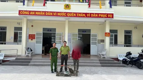 Người dân phát hiện chim Ó cá - động vật rừng nguy cấp, quý hiếm