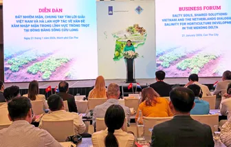 Bàn giải pháp ứng phó hiệu quả với xâm nhập mặn trong ngành trồng trọt ở ĐBSCL