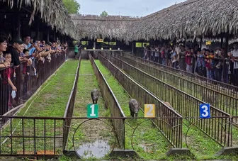 Quy định đặc điểm kinh tế - kỹ thuật đối với dịch vụ tham quan tại khu du lịch trên địa bàn TP Cần Thơ