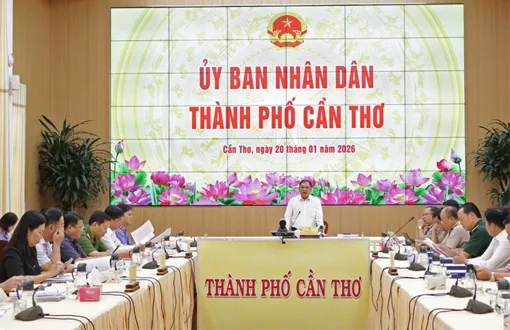 Tập trung thi hành án đối với các vụ việc có giá trị lớn