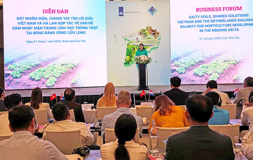 Bàn giải pháp ứng phó hiệu quả với xâm nhập mặn trong ngành trồng trọt ở ĐBSCL