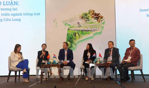 Vietnam, Netherlands join forces to tackle saltwater intrusion in Mekong Delta