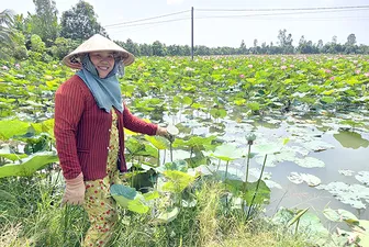 Làm giàu trên vùng đất trũng