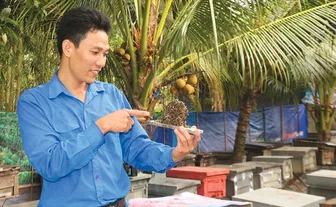 Làm giàu từ nghề nuôi ong lấy mật