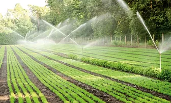 Nâng tầm giá trị nông nghiệp xanh