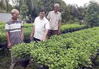 TP Cần Thơ: 156.514 hộ đạt danh hiệu nông dân sản xuất, kinh doanh giỏi