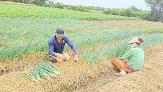 ភាព​ពុះ​ពោរ​ការ​ចលនា​កសាង​ជន​បទ​ថ្មី​អំ​ណរ​មហា​សន្និបាត​ទូ​ទាំង​ប្រ​ទេស​លើក​ទី​ ១៤ របស់​បក្ស​