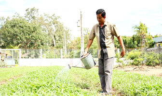 ចលនា​រៀន​សូ​ត្រ​ក្នុង​ជន​រួម​ជាតិ​ខ្មែរ​កាន់​តែ​ផុលផុស​