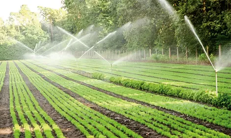 Nâng tầm giá trị nông nghiệp xanh