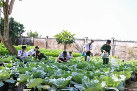 Trồng rau, trồng hoa giúp bạn vượt khó