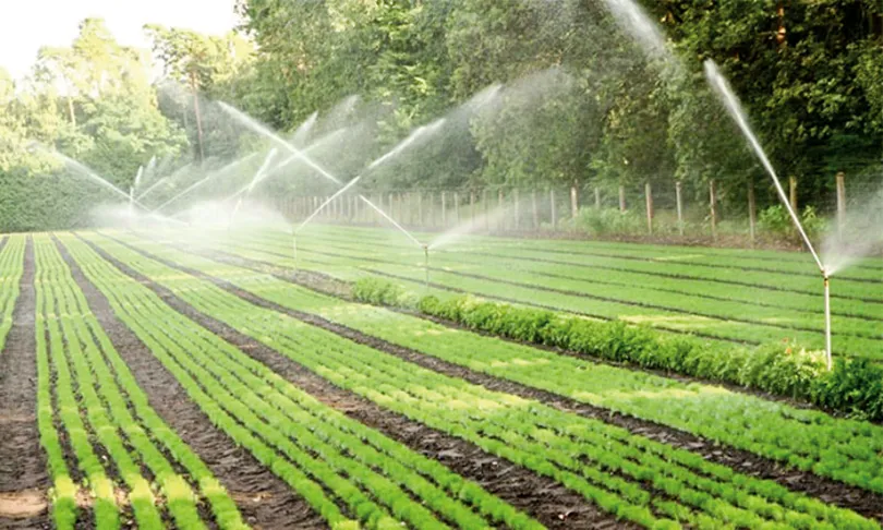 Nâng tầm giá trị nông nghiệp xanh