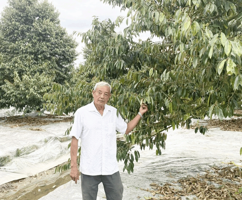 បង្វែរ​ពូជ​ដំណាំ​នាំ​មក​ "លទ្ធ​ផល​ល្អ​"