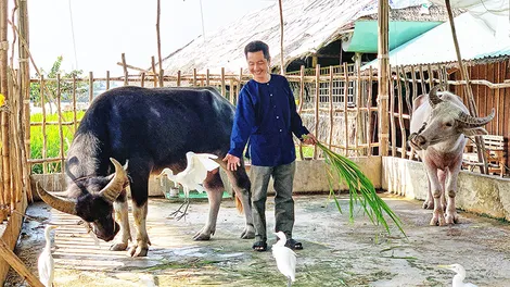 Thu hút du khách quốc tế bằng bản sắc văn hóa